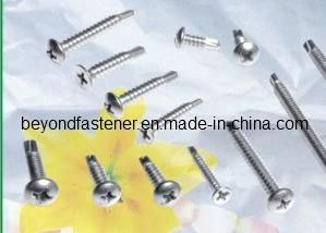 Self Drilling Screw/ Self Tapping Screw /Bolts/Fastener