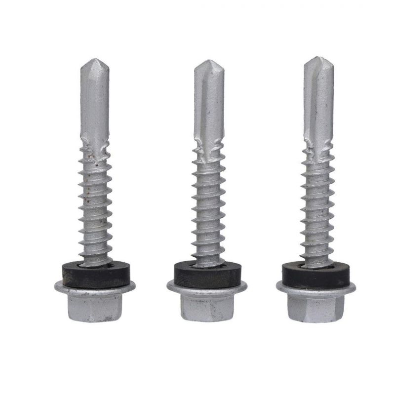 Screw Expert From China