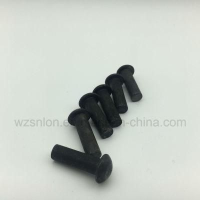 Screw Rivet Blind Rivet for Auto Parts