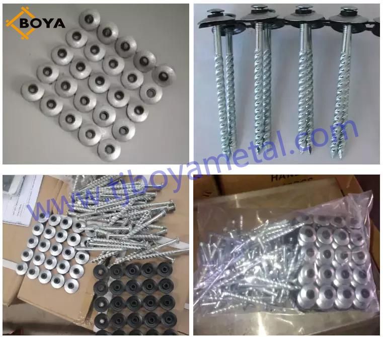 Galvanized Assembled Roofing Screw Nails with Washer
