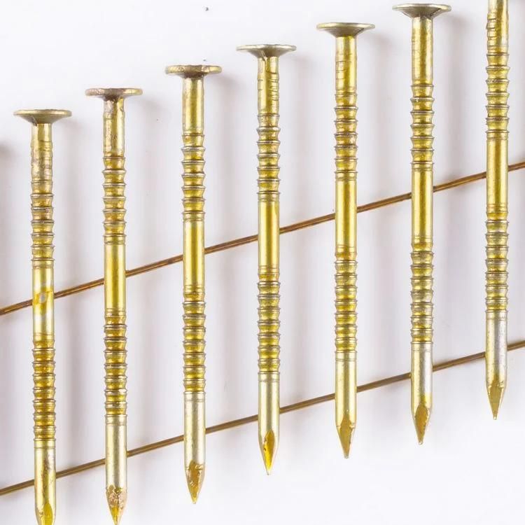 Cheap Price Coil Nails Hot Sell Coil Wire Nails Factory