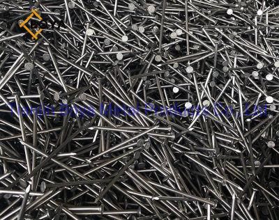 Building Nail/ Iron Nail /Common Iron Nail/Hardware Nail/Building Materials