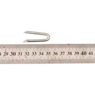 Poulyty Netting Staples Electrol Galvanized U Nail