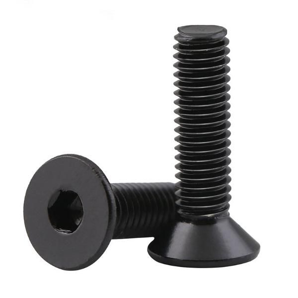 SS304 316 DIN7991 M3-M24 Black Hex Socket Countersunk Head Machine Screw