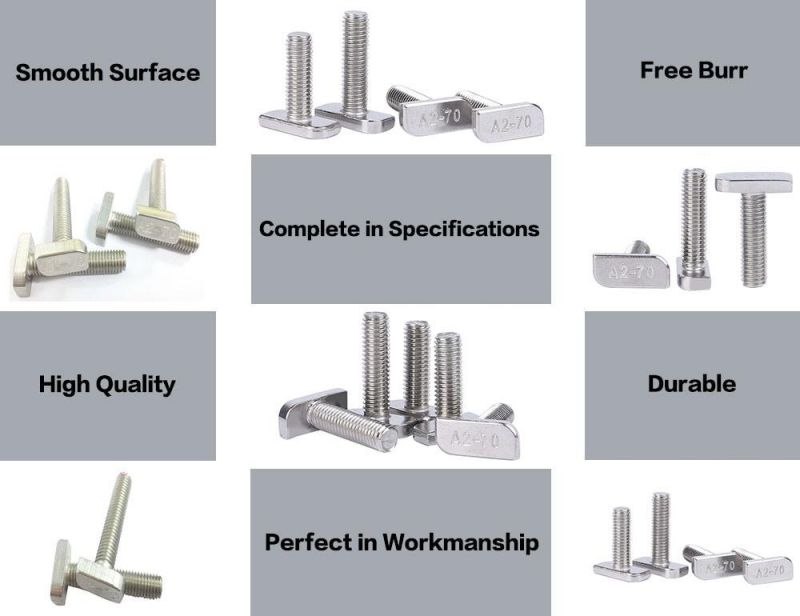 SS304 316 Square Head T Bolt Machining Bolts Customized Automation Equipment Bolts Stainless Steel Hammer Head Bolts T Bolts