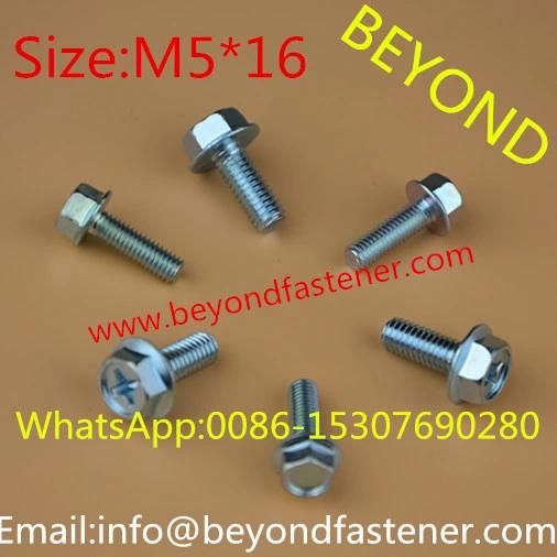 Screw/Drilling Screw /Black Bolts/Rupsert Screw/Sheet Metal Screw