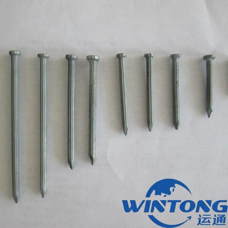 Straight Grain Cement Nail, Galvanized Cement Nail, Cement Nail Factory Price