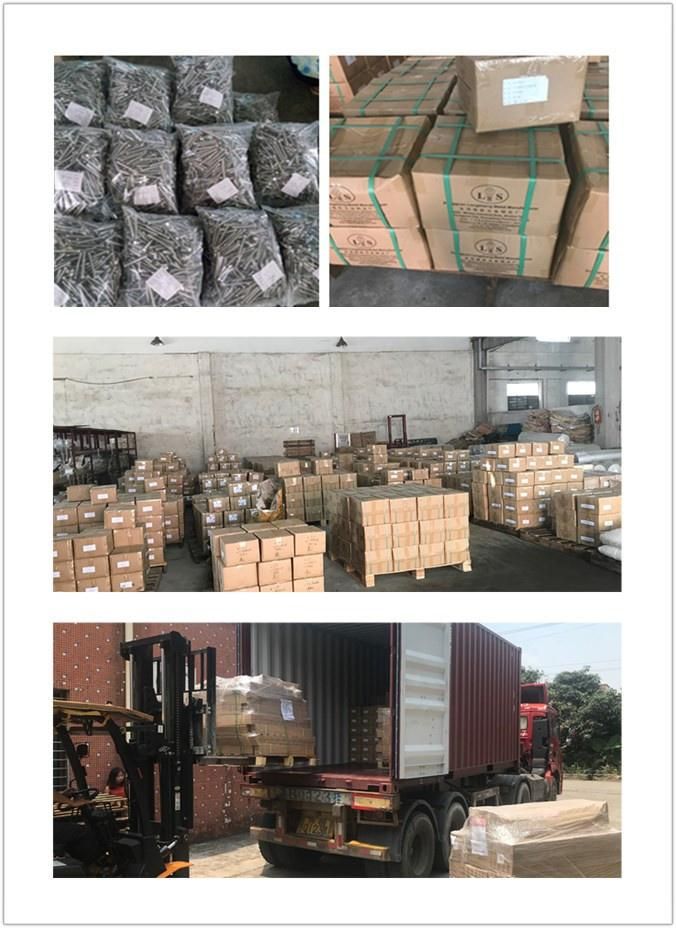 Nut Hexagon Nut Special Nut with High Quality