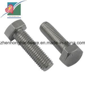 Stainless Steel Hexagon Head Full Thread Bolt (ZH-FB-070)