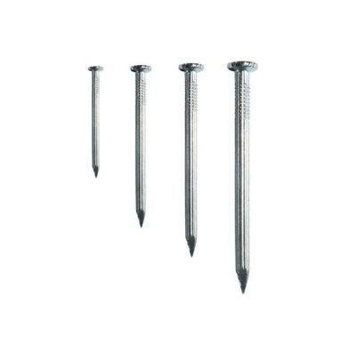 Harden Galvanized Umbrella Roofing Nails/Concrete Nails/Common Nail