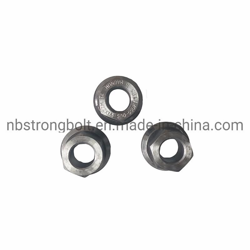Accept OEM Nonstandard Size Standard Fastener Wheel Nut DIN6331