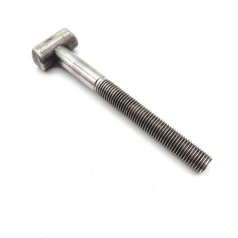 Stainless Steel/Carbon Steel T Type Head Bolts