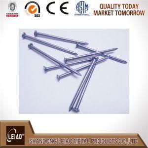 Common Wire Nails Made by Iron Q195