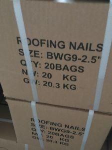 Roofing Nail, Galvanized Roofing Nails with Big Umbrella Head 20bags