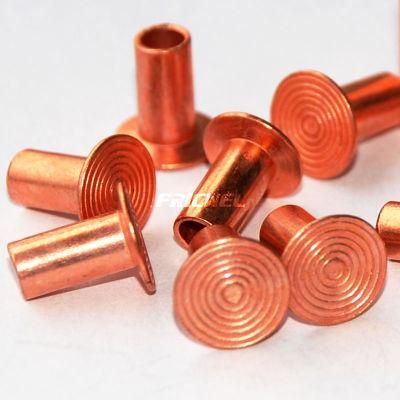 Fricwel Auto Parts Zinc Rivet Sunk Head Rivet Flat Hea/ Clutch Lining Rivet/ Tubular Rivet Ts16949 Certificate