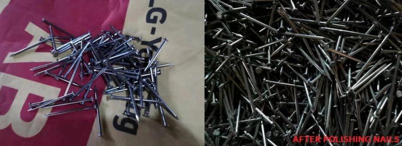 High Quality Steel Wire Nails Manufacturer in China, Wire Nail Factory, Common Wire Nail with Price