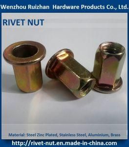 Flange Head Full Hexagonal Rivet Nut M6