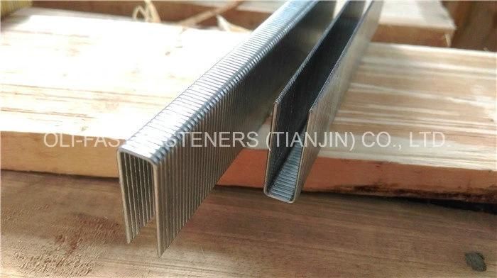 Bea 92/15 Stainless Steel Staples