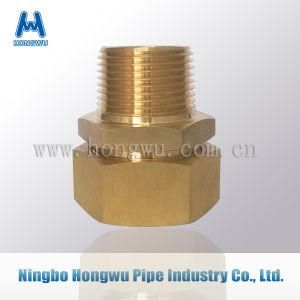 Bsp NPT Ms58 Compression Fitting