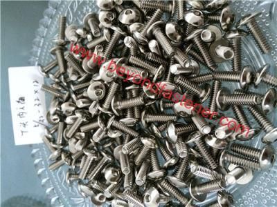 T Bolts/Truss Head Screw/ Hex Bit Hex Driver/ Machine Screw