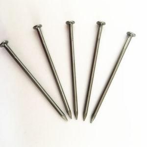 Common Polishing Building Steel Nails (1&quot;-6&quot;)