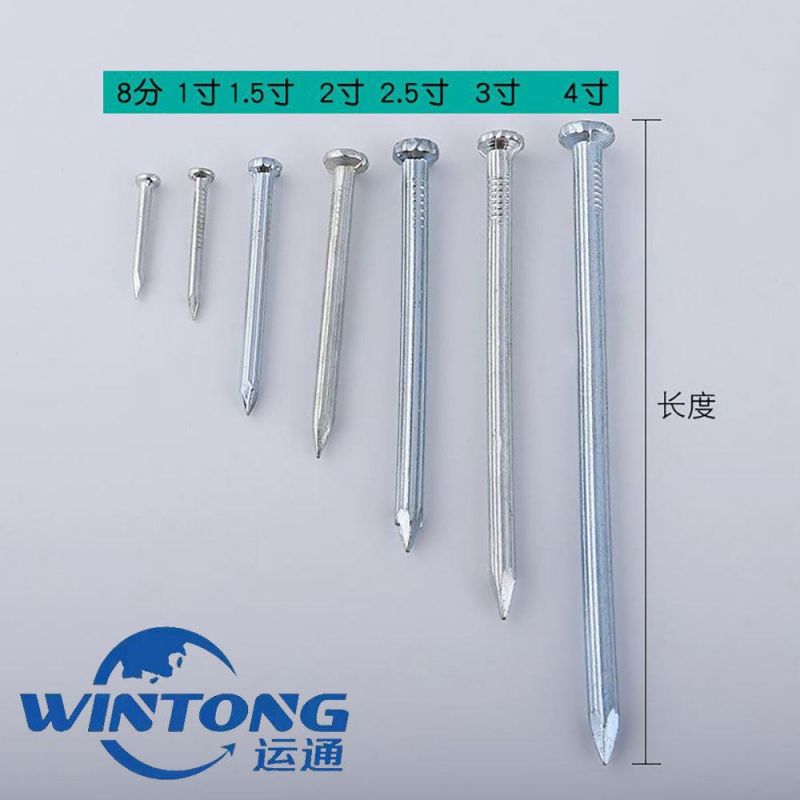 Steel Nail&Concrete Nail