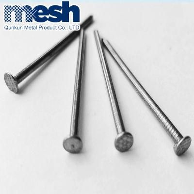 Good Qality Common Steel Nails
