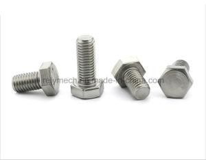 Stainless Steel 304 Hexagon Cap Screw/Hexagon Bolt M10