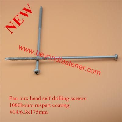Self Drilling Screw/Epoxy Screw/Torx Screw/Self Tapping Screw