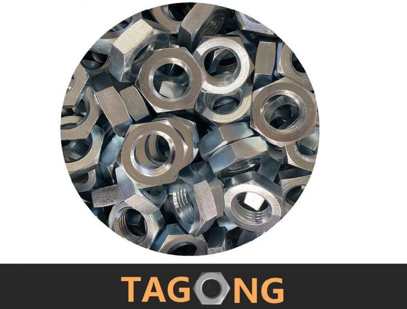Cold-Forging Hex Nuts (DIN934, ISO4032, UNI5588, DIN555)