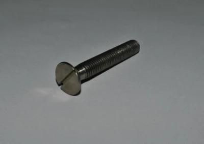 Titanium Screws Slotted Cheese Head Screws for Chemical Use