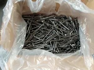 Brightly Polished Common Wire Nail 25kgs Bulk Pack