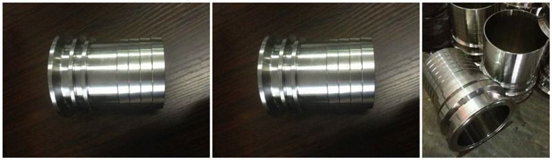 SS304/316 Sanitary Stainless Steel Hose Clamp