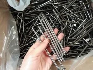 Q195 Common Wire Nail /Wood Nail Manufacturer 25kgs Bulk Packing