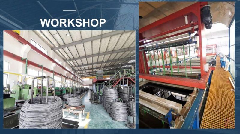 Factory Prices 3 or 4 Shield Anchor/Wedge Anchor/Concrete Anchor/Drop in Anchor/Sleeve Anchor/Nylon Anchor/Metal Frame Anchor/Ceiling Anchor/Hammer Drive Anchor
