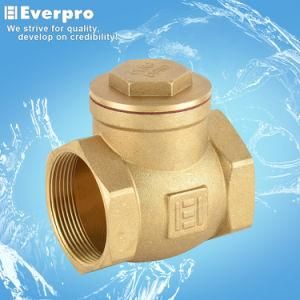 Clapet Check Valve/Brass Fitting (RB-STT12)