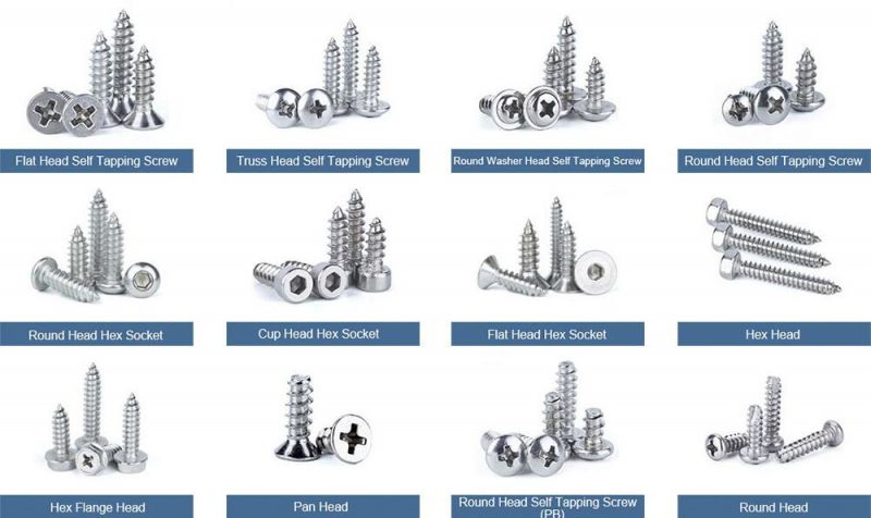 Hexagon Bolt for Furniture Hex Socket Pan Head Flange Bolt Countersunk Hex Socket Bolts Hex Socket Bolt Titanium Screws Socket Head Cap Bolts for Bicycle