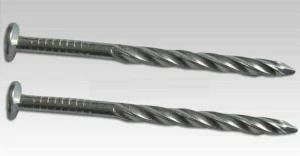 Galvanized Roofing Twisted Shank Smooth Roofing Nails