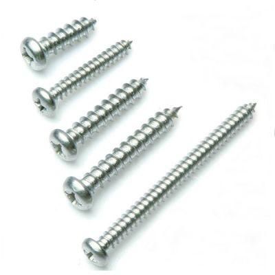 1.6*5 Stainless Steel Pan Head Phillip Self Tapping Micro Screw