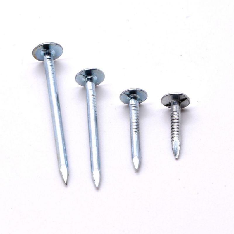 High Quality Galvanized Large Flat Head Iron Wire Nails Roofing Ceiling Nails Clout Cupper Nails