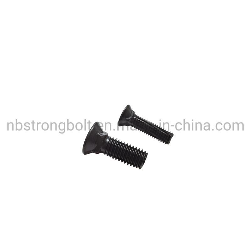 Flat Countersunk Square Neck Bolt Gr. 5