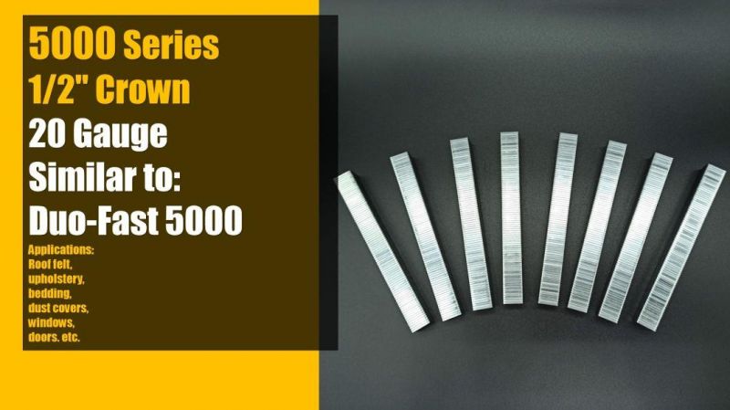 20ga 5000 Series Staples for Upholstery/Furniture with Premium Quality