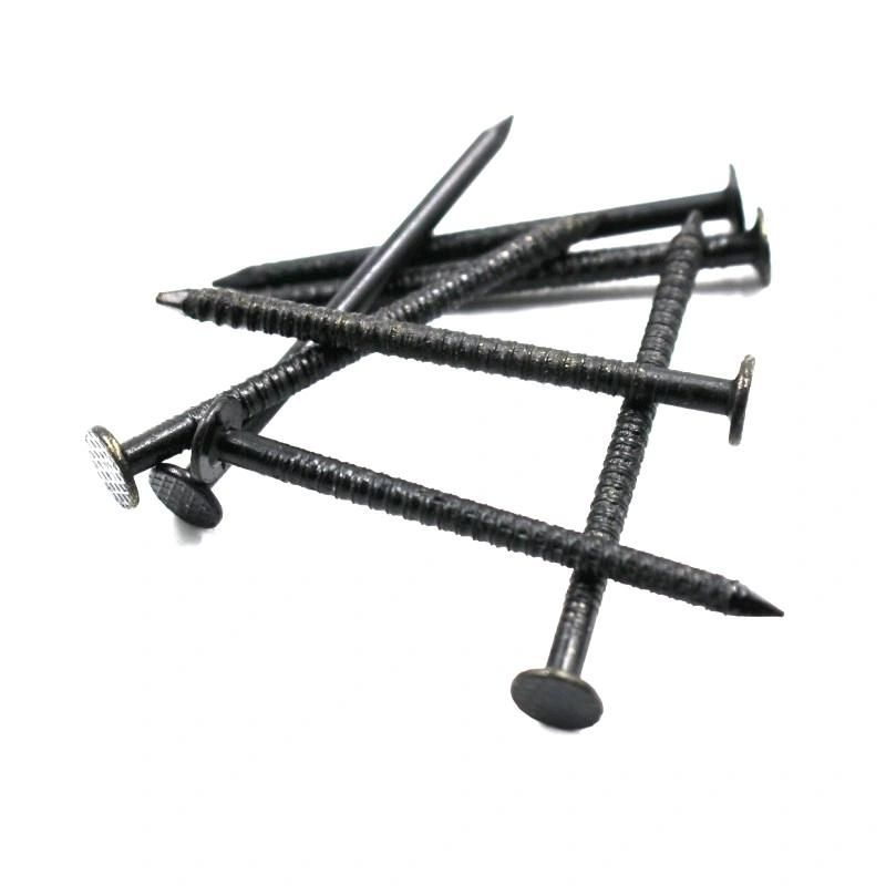 Hot Sale Black Ceiling Nails Ring Shank Nails Round Black Nails