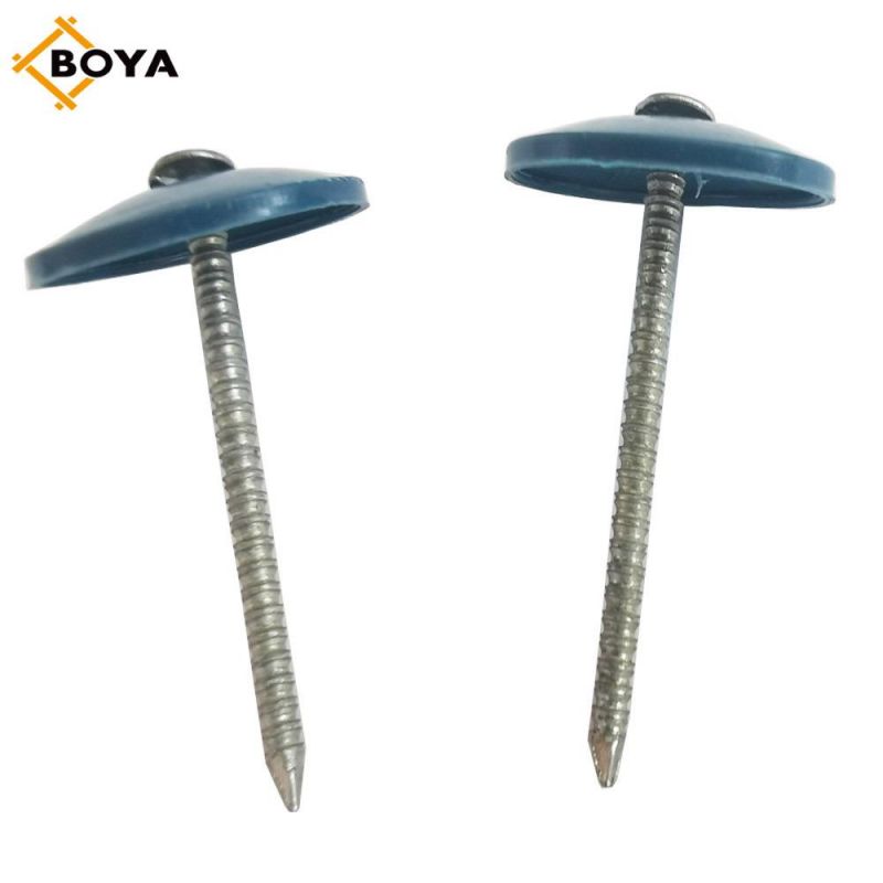 Top Quality Harden Plastic Head Galvanized Roofing Nail
