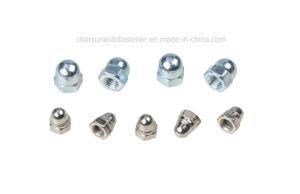 DIN1587 Nylon Iron Cap Nut (CZ001)