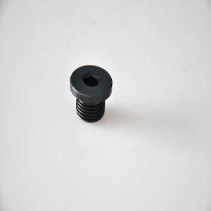 Socket Head Screw Plug