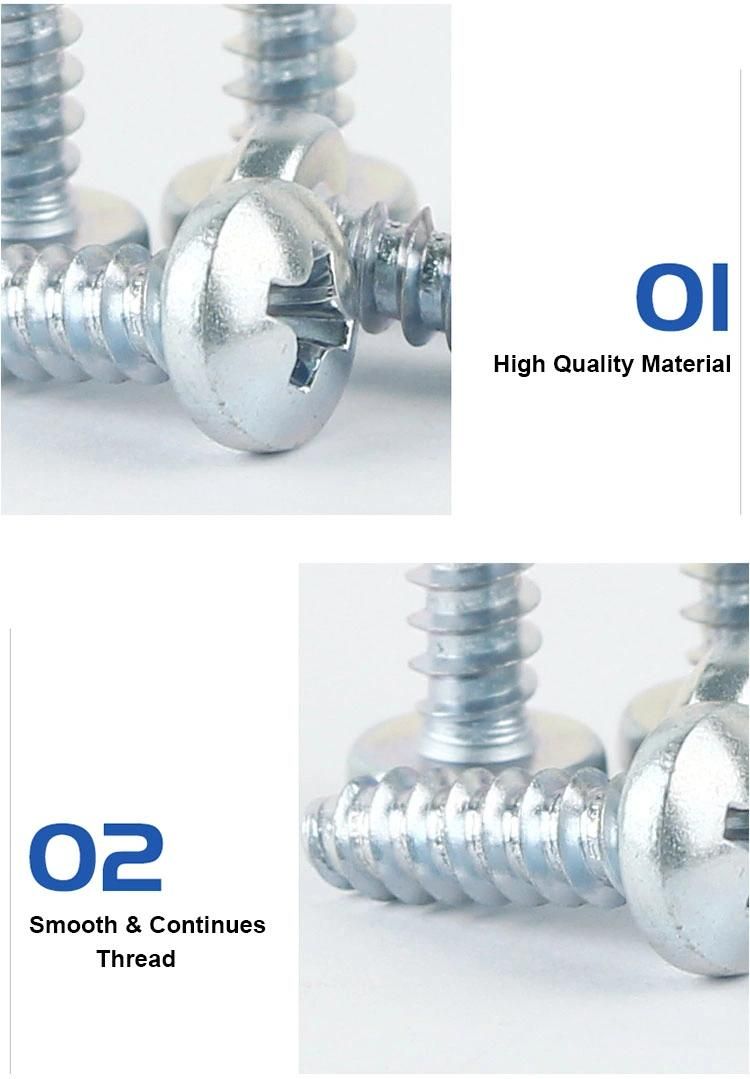 Round Head Self Drilling Screws PPA Type Screw