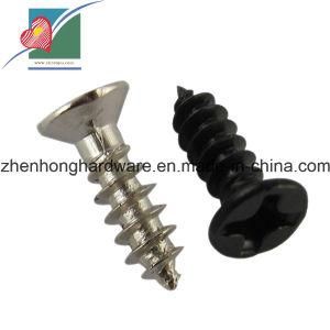 Countersunk Self-Drilling Screw Stainless Steel Screws (ZH-SS-003)