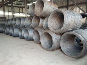 Q195 1&quot; -6&quot; Wire Nail for Construction Hardware