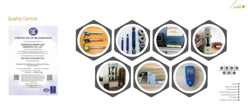 Hex Bolt/Carriage Bolt/Anchor Bolt/Flange Bolt/T Bolt/Square Head Bolt/Hex Socket Cap Screw/Square Bolt/Wing Bolt/Eye Bolt/Knurled Bolt/U Bolt/Hex Cap Screw